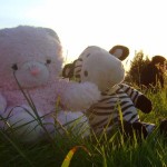 Soft Bear and a new friend at Glasto!