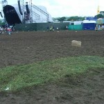 The last patch of grass