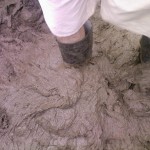 A Welly in the mud on the Pyramid field whilst watching Lily Allen