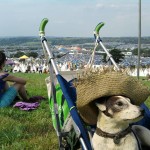 Jip enjoying the view over the site