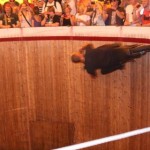 Brave man! Wall of Death
