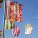 Flags in the sunshine