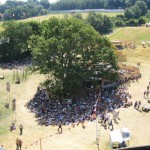 Tree shaped shade full of people!