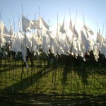 Flags in The Greenfields.