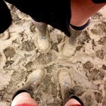 We love the mud :D