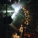 A mirror ball in the forest