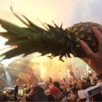 Howard the Pineapple at Coldplay