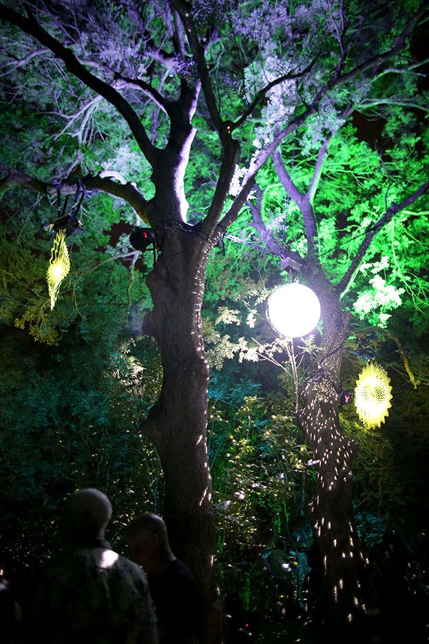 Friday_Festival_011