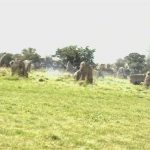 the stone circle pre festival opening...I was there working and got to be there for a full week. Incredible. 