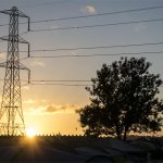 Pylons and Trees